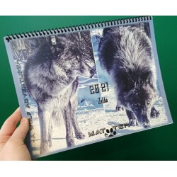 A Wolf Adventure Calendar